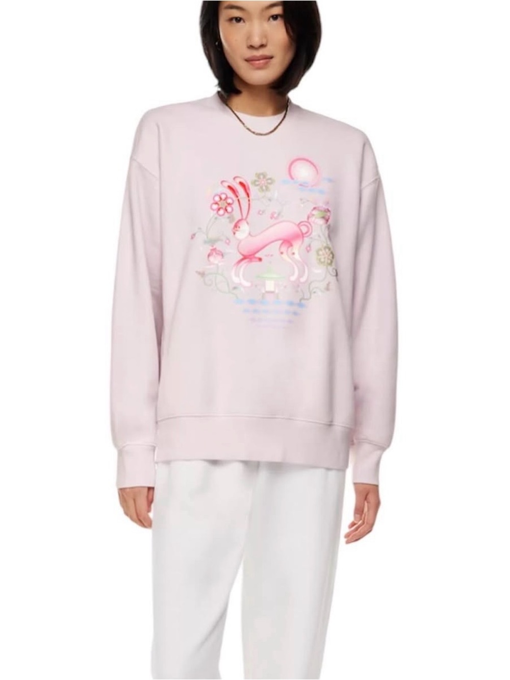 Aritzia Lunar New Year TNA Sweatfleece Cozy Fleece Boyfriend Fit Sweatshirt